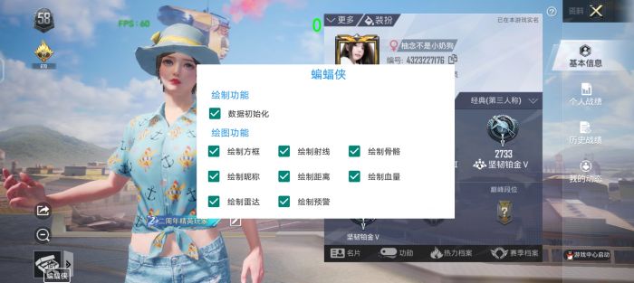 和平精英外挂内核一般多少（和平精英外挂内核）